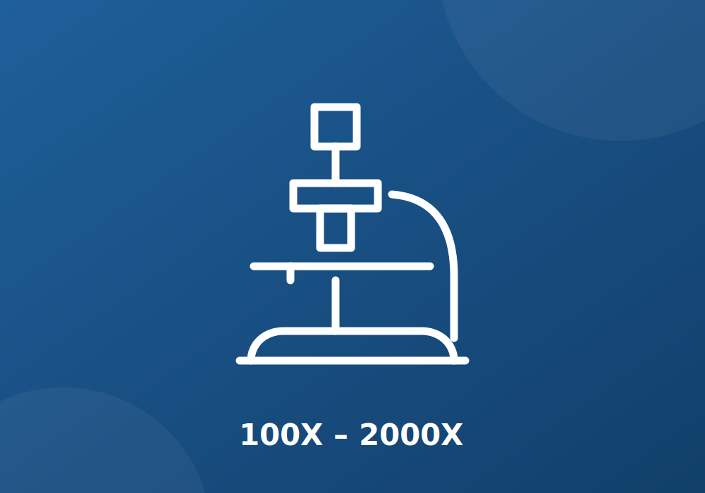 PalliPartners Compound Microscope for Adults & Students, 100X-2000X · High School · Biology